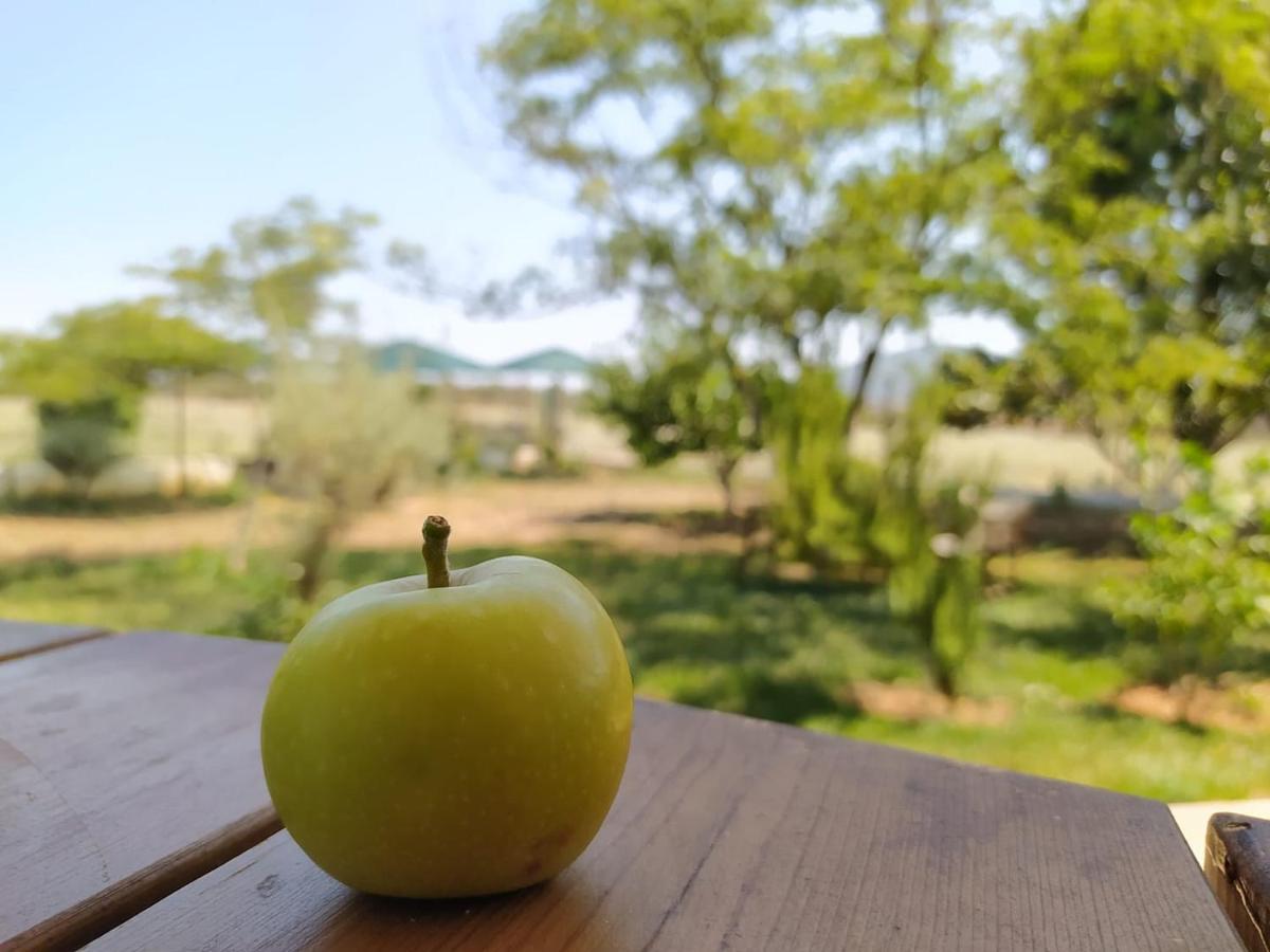 Ktima Anastasia Nauplia Esterno foto